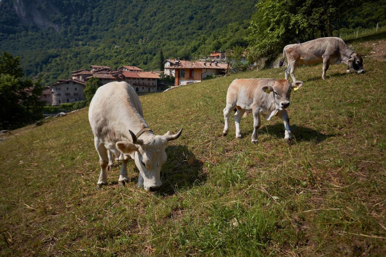 Le Terre Di Gu Villa Тено Екстериор снимка